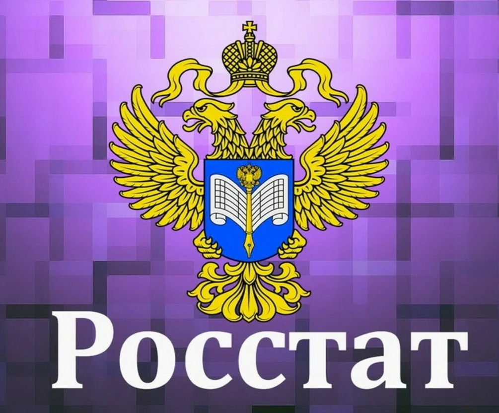 Информационное сообщение для СМИ 31 января 2024, Красноярск.