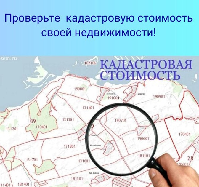 Детали применения кадастровой стоимости раскрыли в краевом Роскадастре.