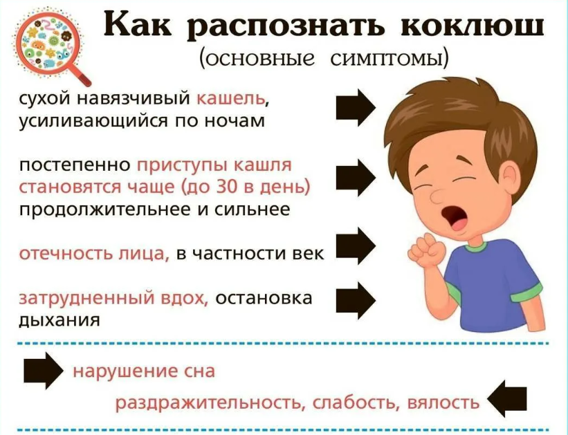 РЕКОМЕНДАЦИИ ГРАЖДАНАМ: О профилактике коклюша.