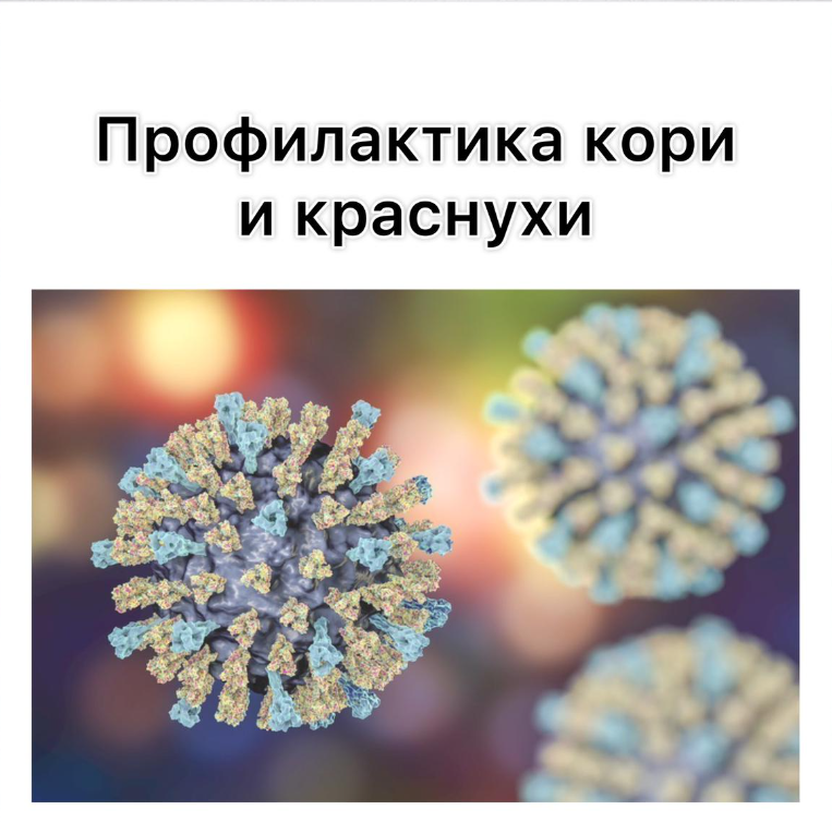 Профилактика кори и краснухи.