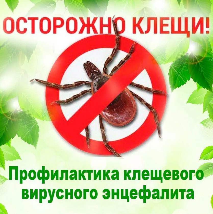 Памятки по профилактике гриппа и клещевого вирусного энцефалита.