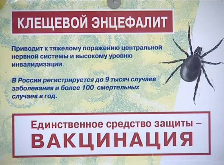 РЕКОМЕНДАЦИИ ГРАЖДАНАМ: О вакцинации против клещевого вирусного энцефалита.
