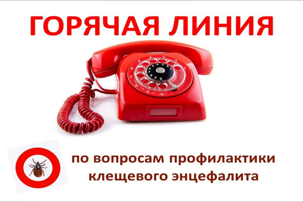 «Горячая линия» в рамках проведения мероприятий по профилактике клещевого энцефалита и инфекций, передающихся клещами (ИПИК)..