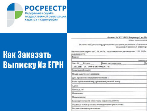 Более 4,1 млн выписок из ЕГРН выдал краевой Роскадастр в 2024 году.