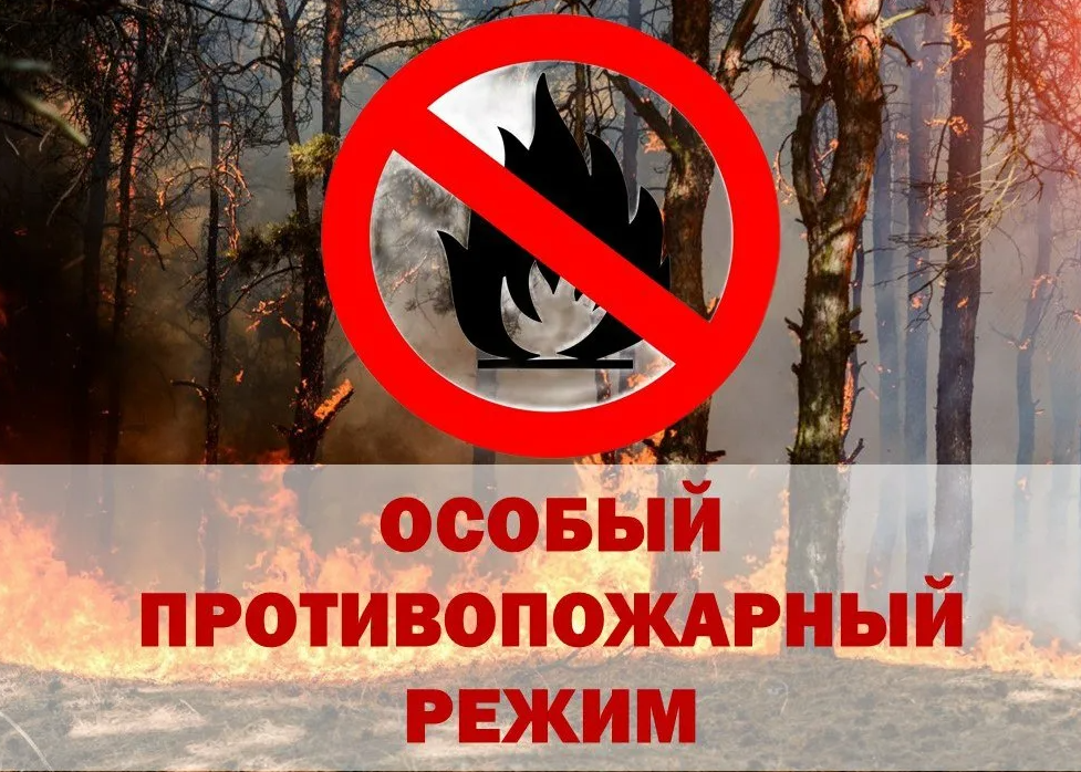 О введении особого противопожарного режима на территории отдельных муниципальных образований Красноярского края.