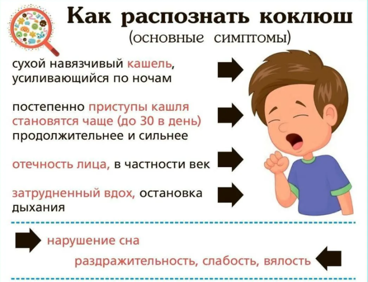 РЕКОМЕНДАЦИИ ГРАЖДАНАМ: О профилактике коклюша. РЕКОМЕНДАЦИИ ГРАЖДАНАМ: О профилактике коклюша.
